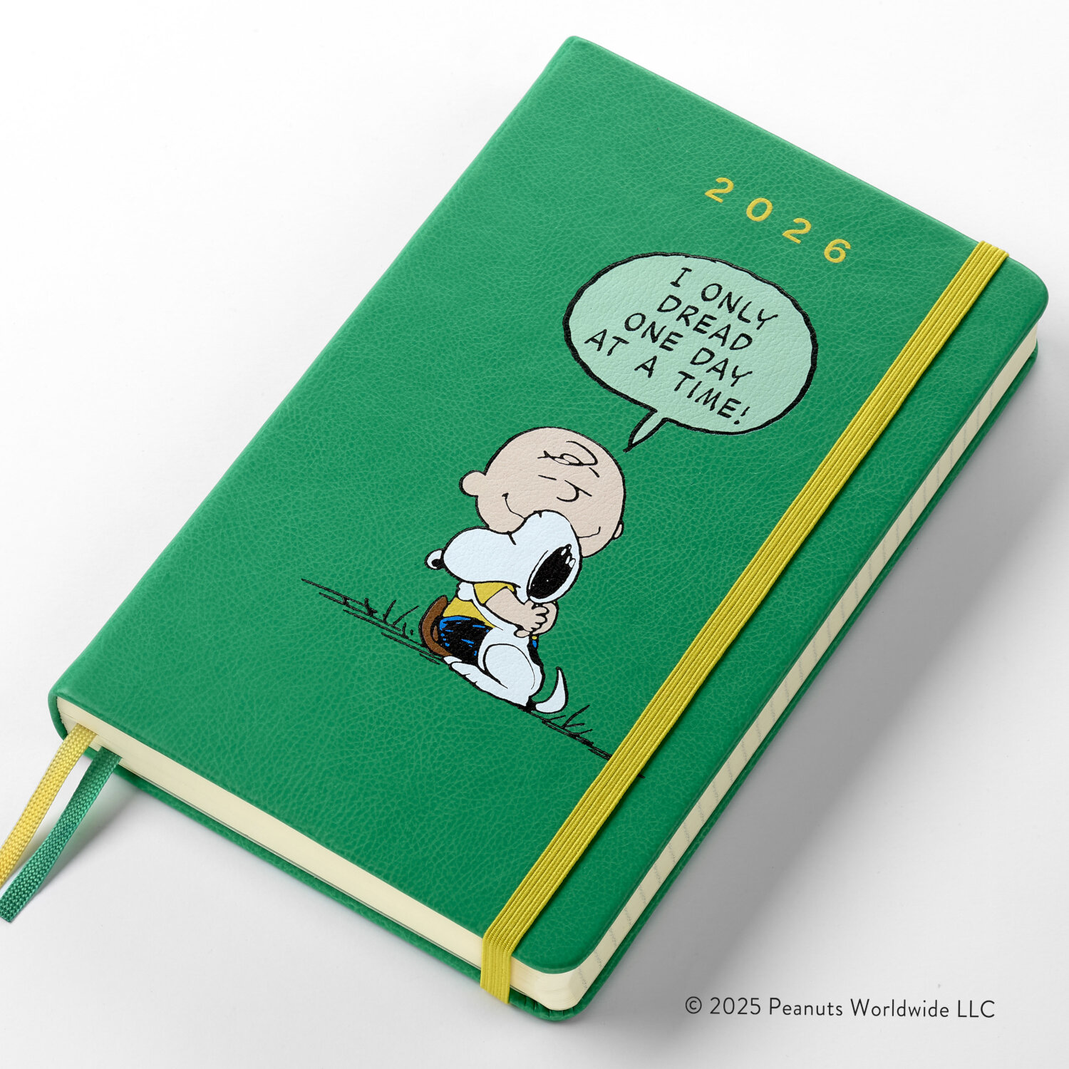 Agenda Peanuts 2026 Diaria, tapa dura, 12 meses, large